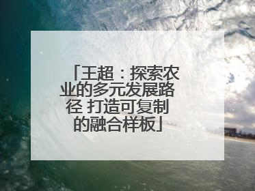 王超：探索农业的多元发展路径 打造可复制的融合样板