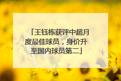 王钰栋获评中超月度最佳球员，身价升至国内球员第二