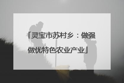 灵宝市苏村乡：做强做优特色农业产业