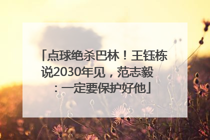 点球绝杀巴林！王钰栋说2030年见，范志毅：一定要保护好他