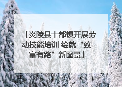 炎陵县十都镇开展劳动技能培训 绘就“致富有路”新图景