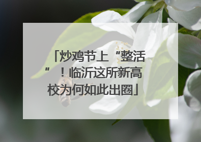 炒鸡节上“整活”！临沂这所新高校为何如此出圈