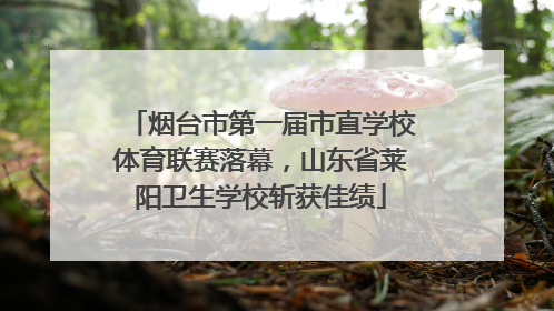 烟台市第一届市直学校体育联赛落幕，山东省莱阳卫生学校斩获佳绩