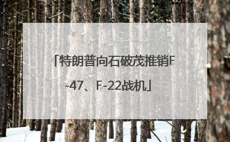 特朗普向石破茂推销F-47、F-22战机