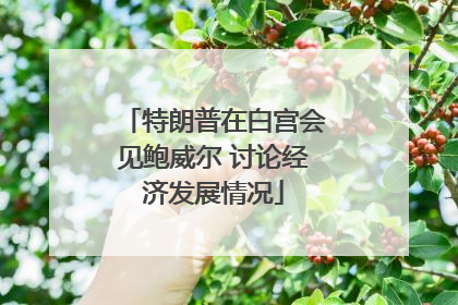 特朗普在白宫会见鲍威尔 讨论经济发展情况