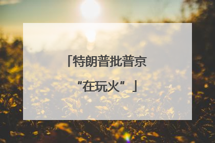 特朗普批普京“在玩火”