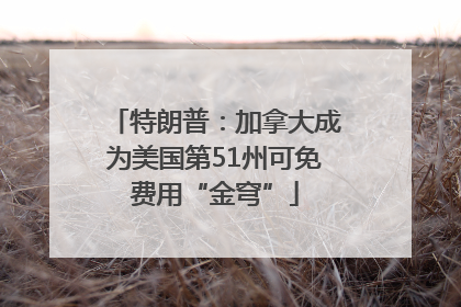 特朗普：加拿大成为美国第51州可免费用“金穹”