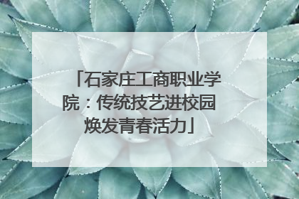 石家庄工商职业学院：传统技艺进校园焕发青春活力