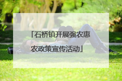 石桥镇开展强农惠农政策宣传活动