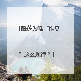 睡莲为啥“作息”这么规律？