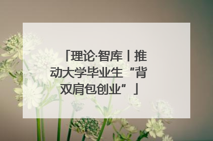 理论·智库丨推动大学毕业生“背双肩包创业”