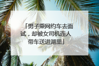 男子乘网约车去面试，却被女司机连人带车送进湖里