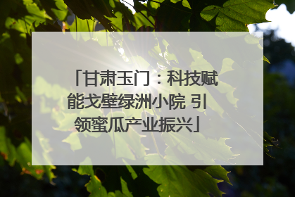 甘肃玉门：科技赋能戈壁绿洲小院 引领蜜瓜产业振兴