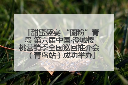 甜蜜盛宴 “圈粉”青岛 第六届中国·澄城樱桃营销季全国巡回推介会（青岛站）成功举办