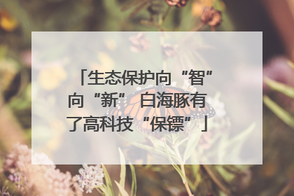 生态保护向“智”向“新” 白海豚有了高科技“保镖”
