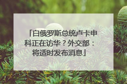 白俄罗斯总统卢卡申科正在访华？外交部：将适时发布消息