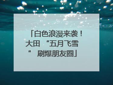 白色浪漫来袭！大田 “五月飞雪” 刷爆朋友圈
