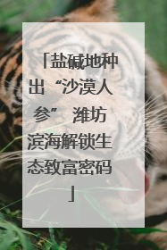 盐碱地种出“沙漠人参” 潍坊滨海解锁生态致富密码