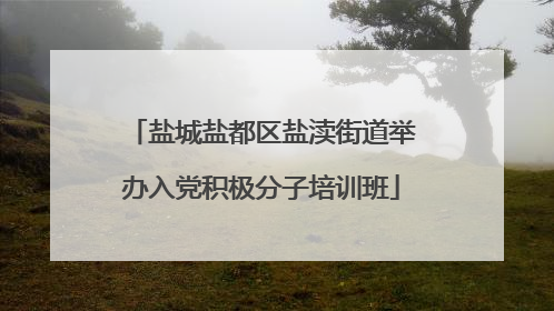 盐城盐都区盐渎街道举办入党积极分子培训班