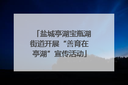 盐城亭湖宝瓶湖街道开展“善育在亭湖”宣传活动