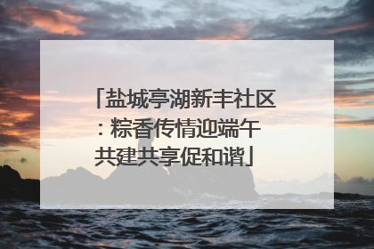 盐城亭湖新丰社区：粽香传情迎端午 共建共享促和谐