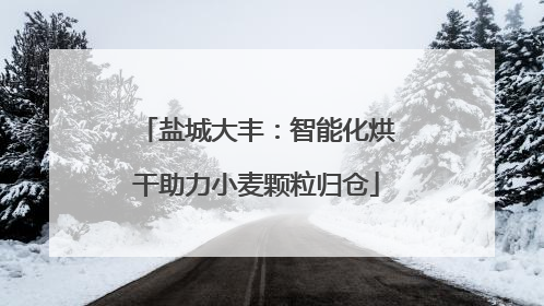 盐城大丰：智能化烘干助力小麦颗粒归仓