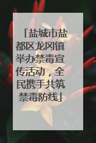 盐城市盐都区龙冈镇举办禁毒宣传活动，全民携手共筑禁毒防线