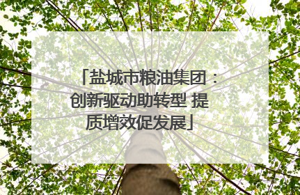 盐城市粮油集团：创新驱动助转型 提质增效促发展