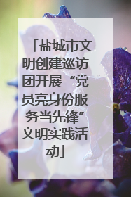 盐城市文明创建巡访团开展“党员亮身份服务当先锋”文明实践活动