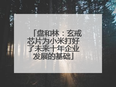 盘和林：玄戒芯片为小米打好了未来十年企业发展的基础