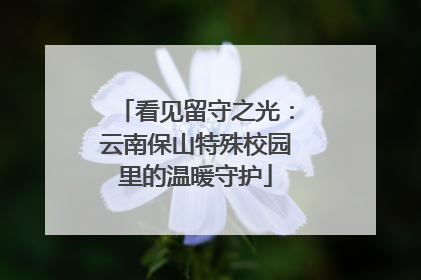 看见留守之光：云南保山特殊校园里的温暖守护