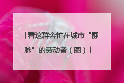 看这群奔忙在城市“静脉”的劳动者（图）