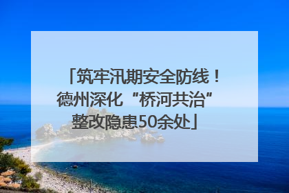 筑牢汛期安全防线！德州深化“桥河共治”整改隐患50余处