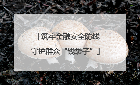 筑牢金融安全防线 守护群众“钱袋子”