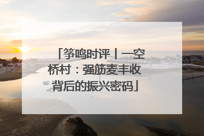 筝鸣时评丨一空桥村：强筋麦丰收背后的振兴密码