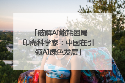 破解AI能耗困局 印裔科学家：中国在引领AI绿色发展