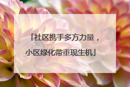 社区携手多方力量，小区绿化带重现生机