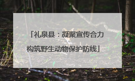 礼泉县：凝聚宣传合力构筑野生动物保护防线
