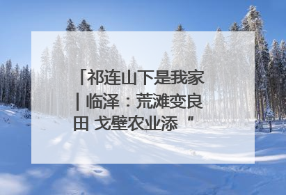 祁连山下是我家｜临泽：荒滩变良田 戈壁农业添“绿”生“金”