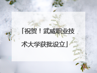 祝贺！武威职业技术大学获批设立