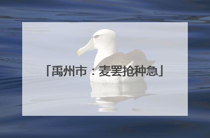 禹州市：麦罢抢种急