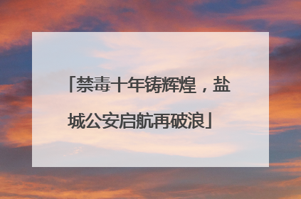 禁毒十年铸辉煌，盐城公安启航再破浪