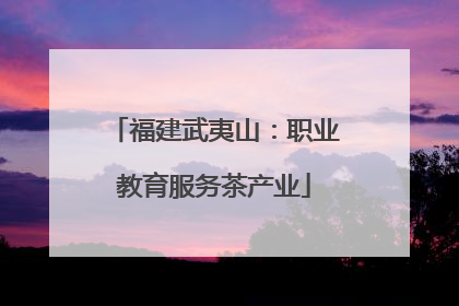 福建武夷山：职业教育服务茶产业