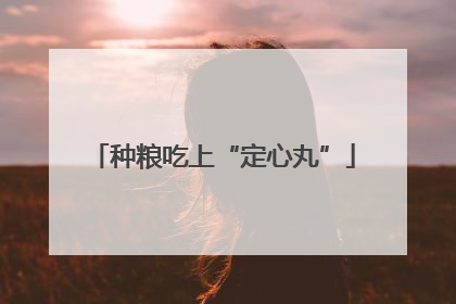 种粮吃上“定心丸”