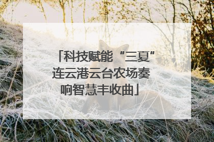 科技赋能“三夏” 连云港云台农场奏响智慧丰收曲