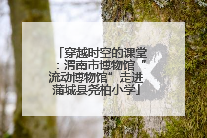 穿越时空的课堂：渭南市博物馆“流动博物馆”走进蒲城县尧柏小学