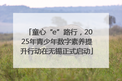 童心“e”路行，2025年青少年数字素养提升行动在无锡正式启动