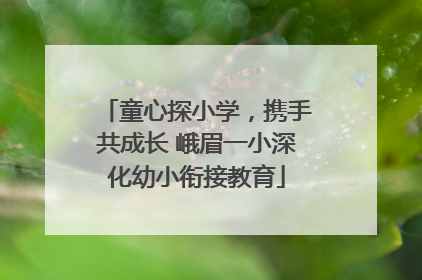 童心探小学，携手共成长 峨眉一小深化幼小衔接教育