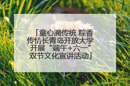童心溯传统 粽香传情长青岛开放大学开展“端午+六一”双节文化宣讲活动