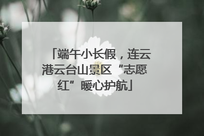 端午小长假，连云港云台山景区“志愿红”暖心护航